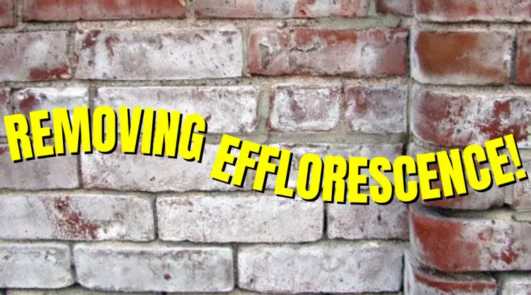 Removing Efflorescence: Essential Insights for Pressure Washing Professionals 