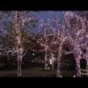 70 Light 4600K Pure White 5 mm Wide Angle Conical LED Christmas Lights