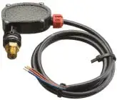 PS6 Hot Water Pressure Switch 652 PSI 1/4" M