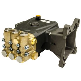 Annovi Reverberi AR RRV4G36D-F24 3400 RPM Hollow Shaft Pump with F24 Flange